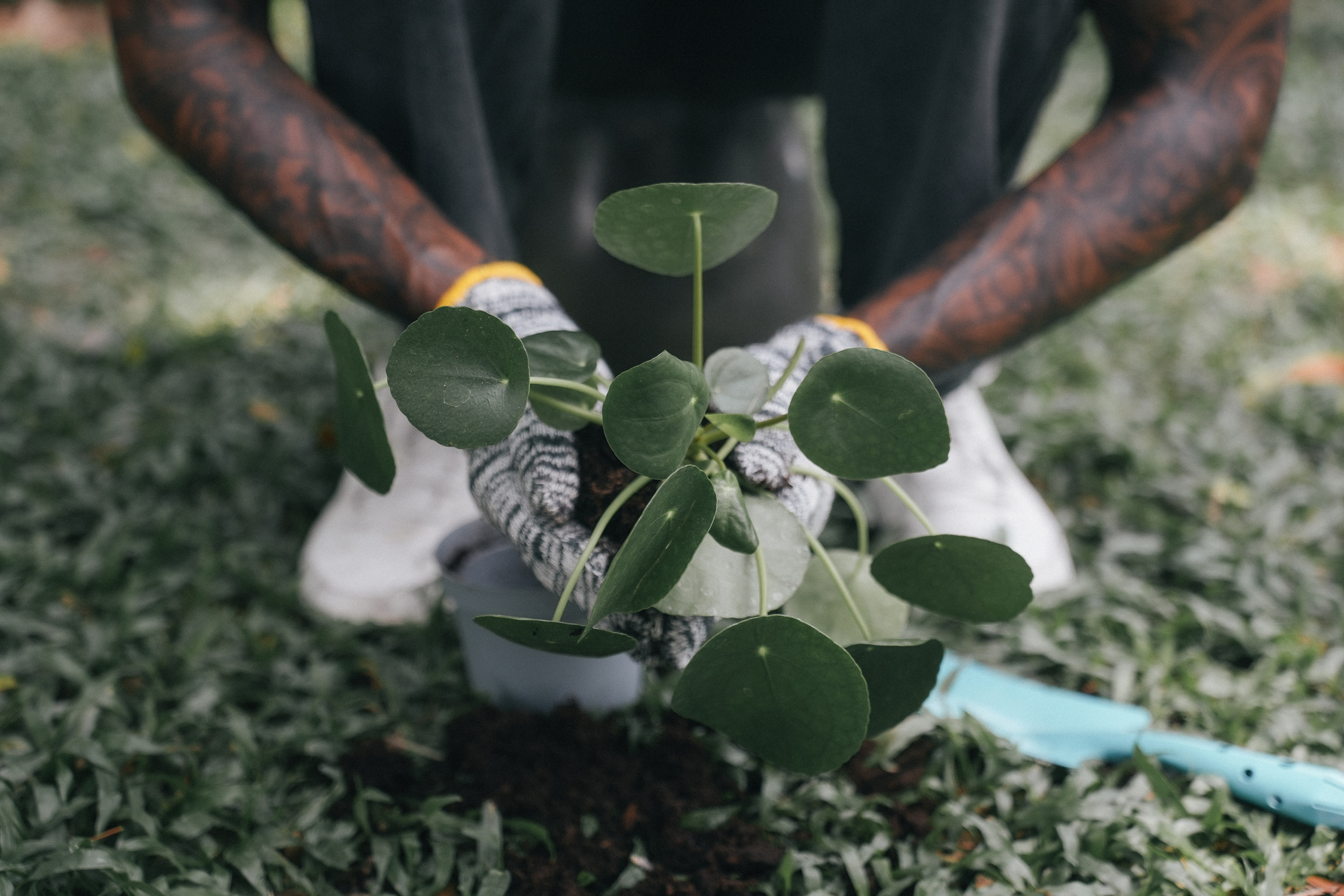 The Gardener's Call